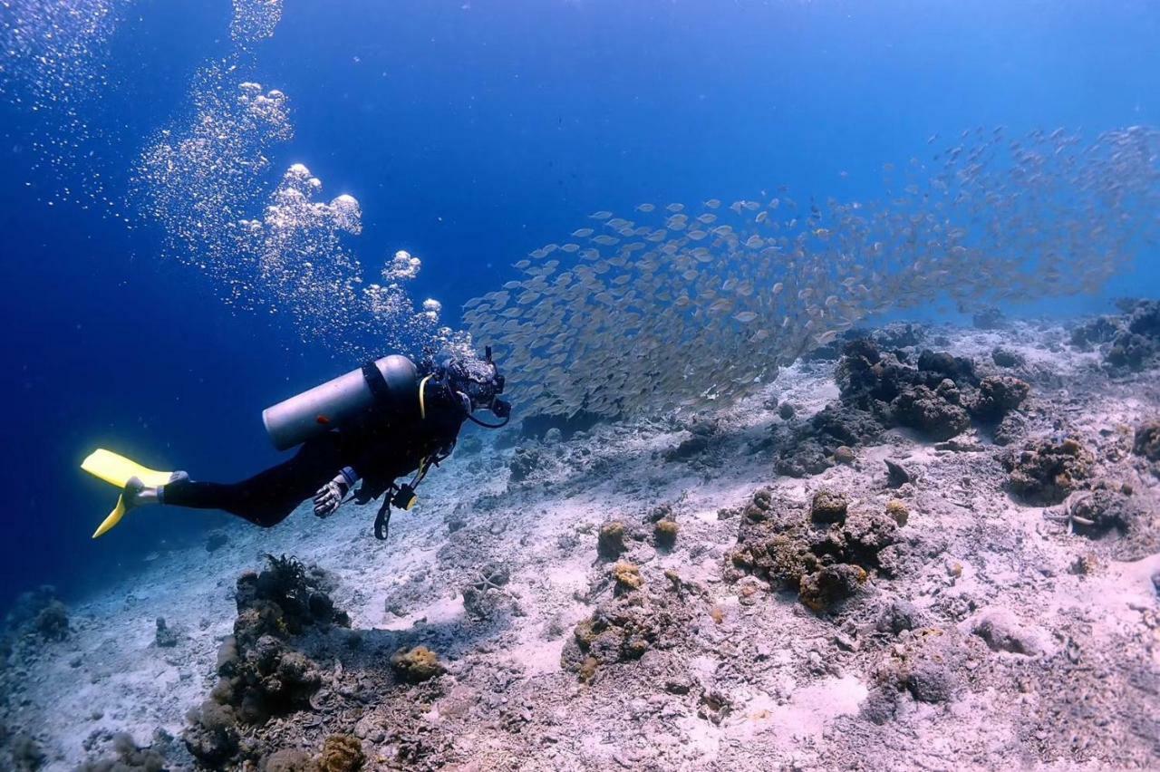 Blue Ocean Lodge & Diving Centre Semporna 蓝海潜水旅舍 Екстериор снимка